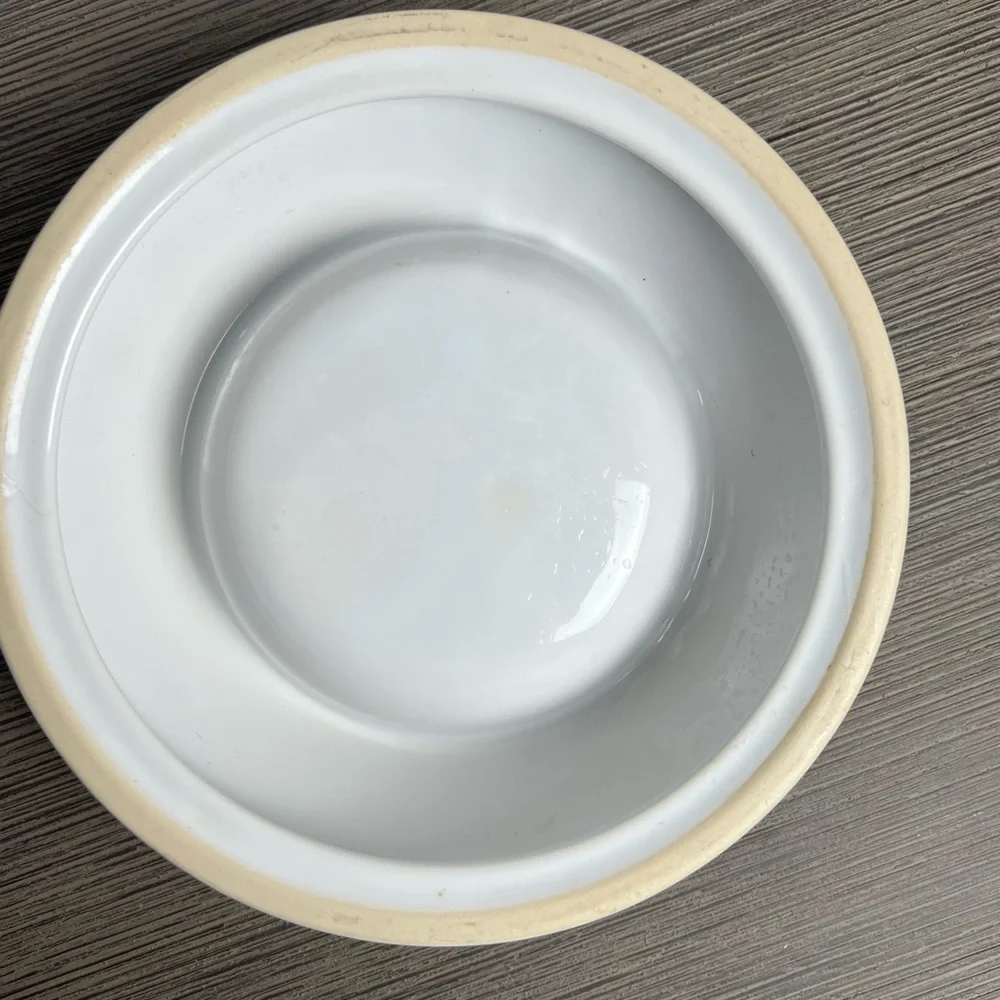 Colorful ceramic cat food dish